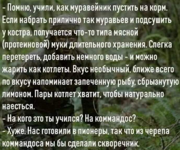 Это Мой Последний Секс На Муравейнике