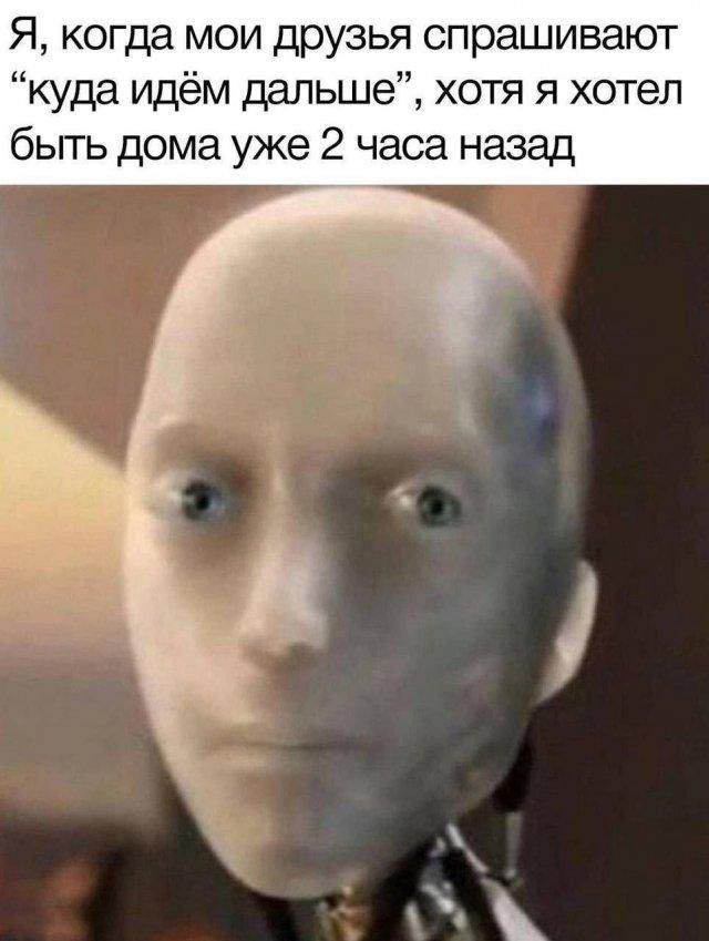 Я, когда мои друзья спрашивают 
