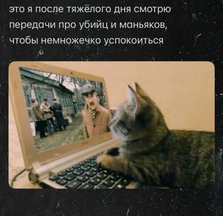 это я после тяжёлого дня смотрю передачи про убийц и маньяков, чтобы немножечко успокоиться