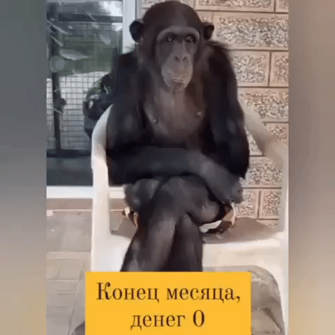 Конец месяца, денег 0