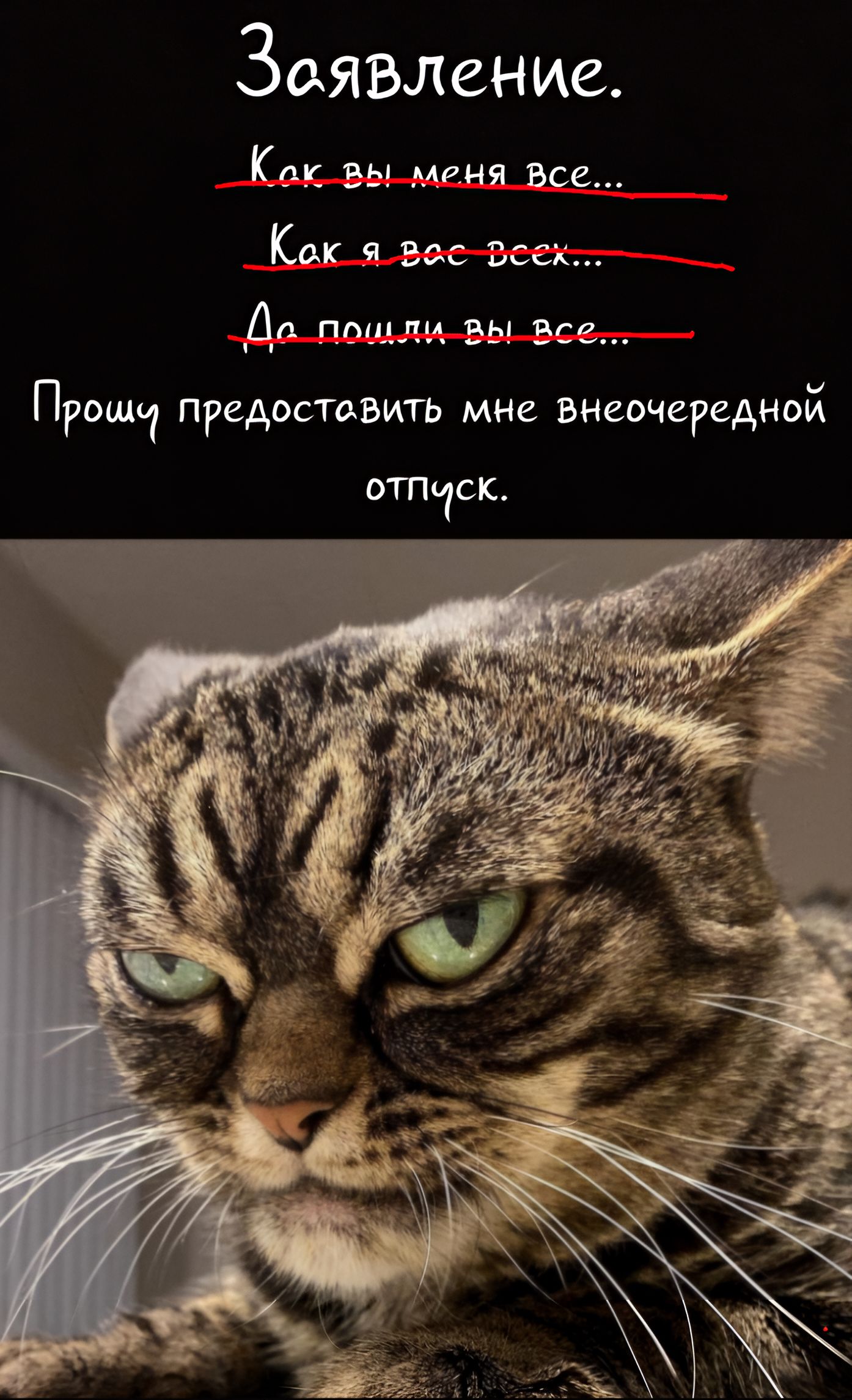 Заявление. Как вы меня все... Как я вас всех... Да пошли вы все... Прошу предоставить мне внеочередной отпуск.
