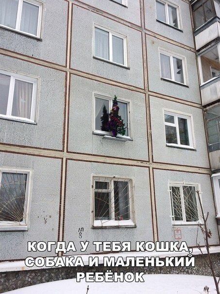 КОГДА У ТЕБЯ КОШКА, СОБАКА И МАЛЕНЬКИЙ РЕБЁНОК