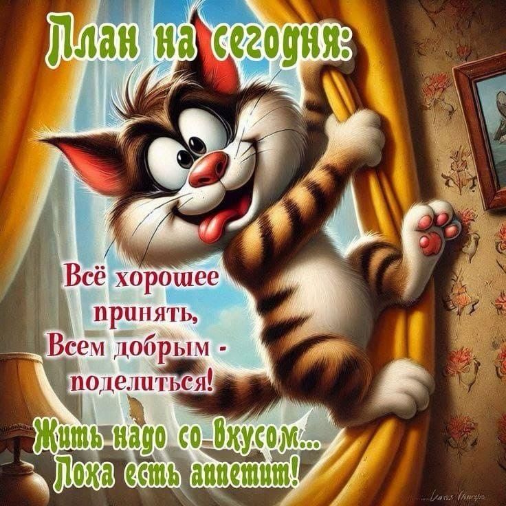 План на сегодня: Всё хорошее принять, Всем добрым - поделиться! Жить надо со вкусом... Ложка есть аппетит!