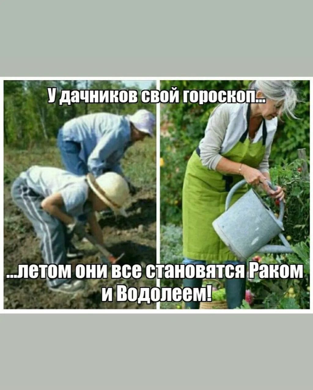 У дачников свой гороскоп... ...летом они все становятся Раком и Водолеем!