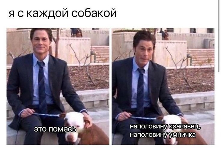 я с каждой собакой это помесь наполовину красавец, наполовину умничка