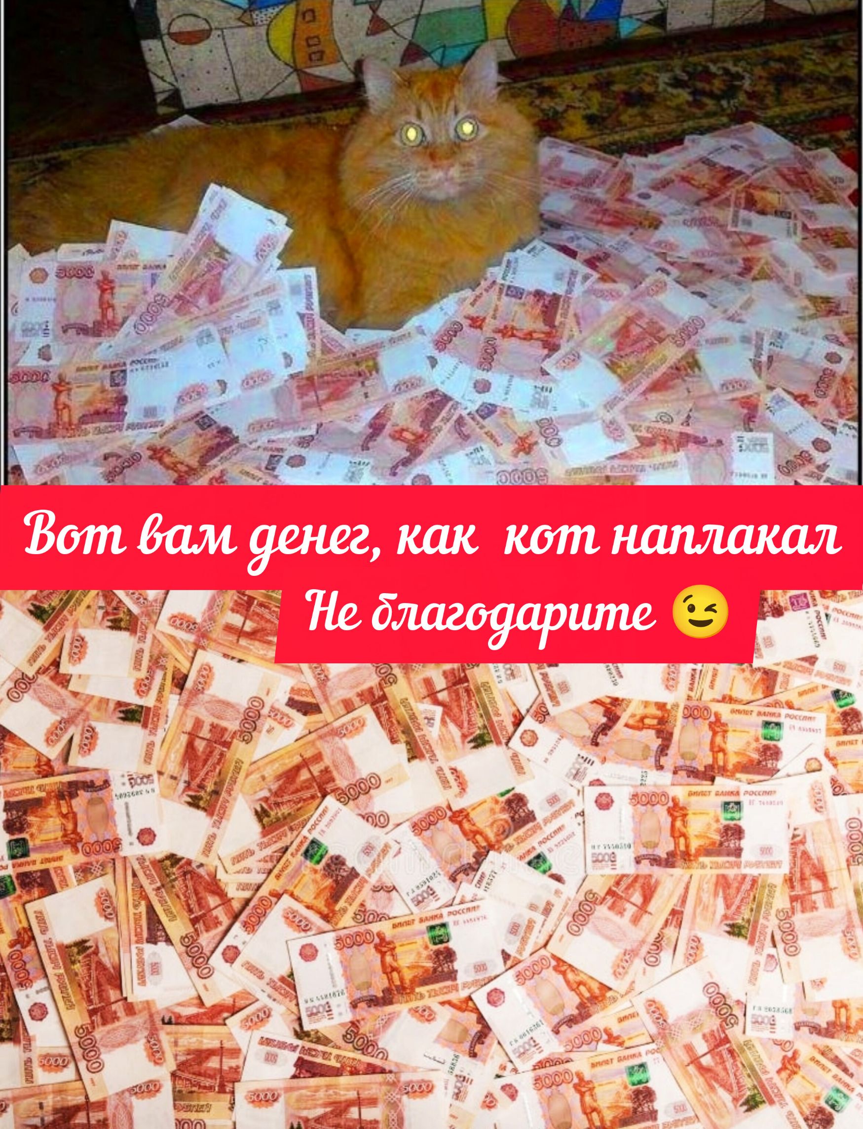 Вот вам денег, как кот наплакал Не благодарите