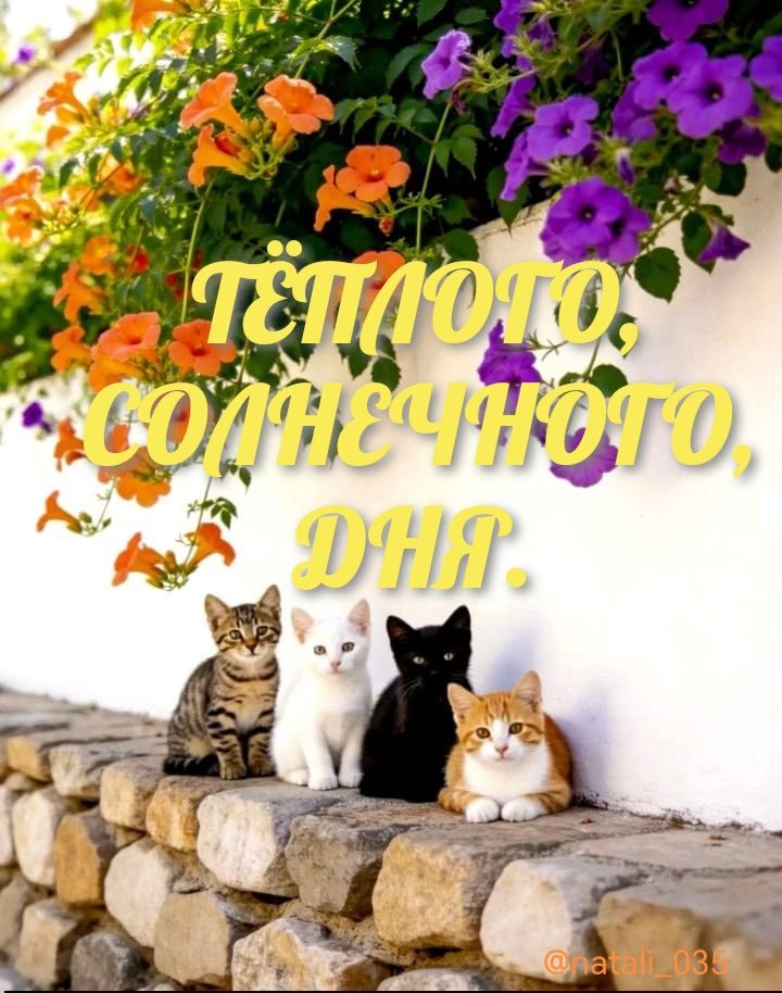 ТЁПЛОГО, СОЛНЕЧНОГО ДНЯ.