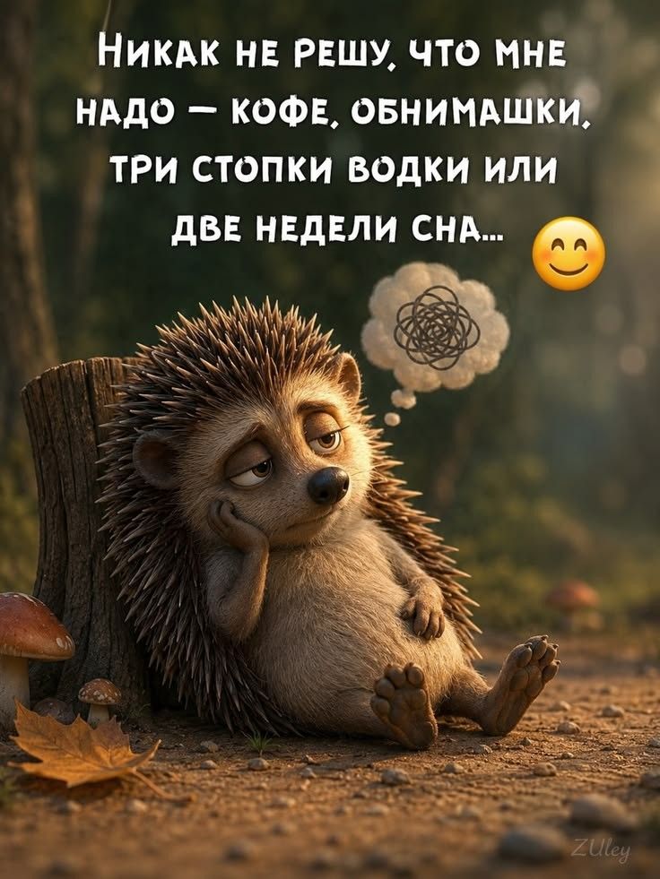 Никак не решу, что мне надо — кофе, обнимашки, три стопки водки или две недели сна...