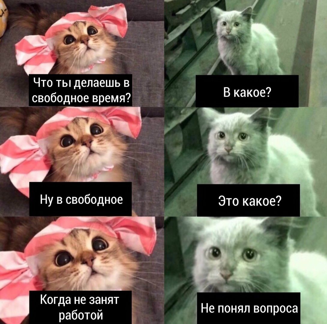 Что ты делаешь в свободное время? В какое? Ну в свободное. Это какое? Когда не занят работой. Не понял вопроса.