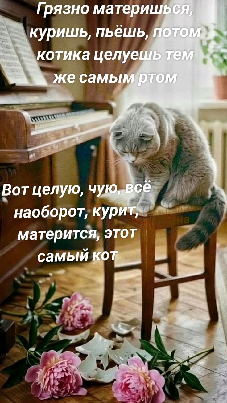 Грязно материшься, куришь, пьёшь, потом котика целуешь тем же самым ртом. Вот целую, чую, всё наоборот, курит, матерится, этот самый кот