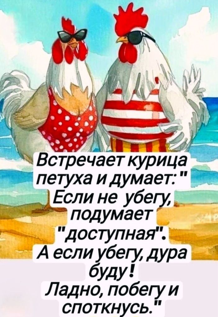 Встречает курица петуха и думает: 