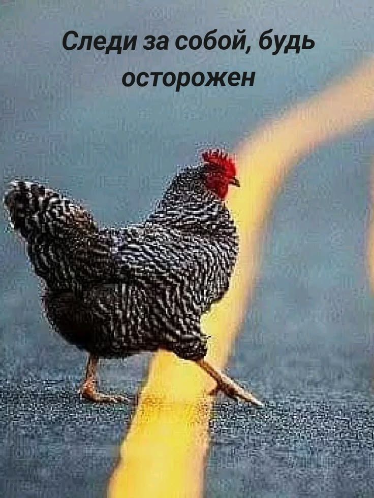 Следи за собой, будь осторожен