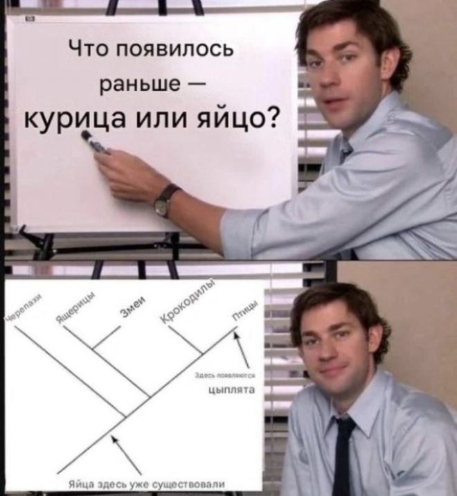 Что появилось раньше — курица или яйцо? Черепахи Ящерицы Змеи Крокодилы Птицы Здесь появляются цыплята Яйца здесь уже существовали