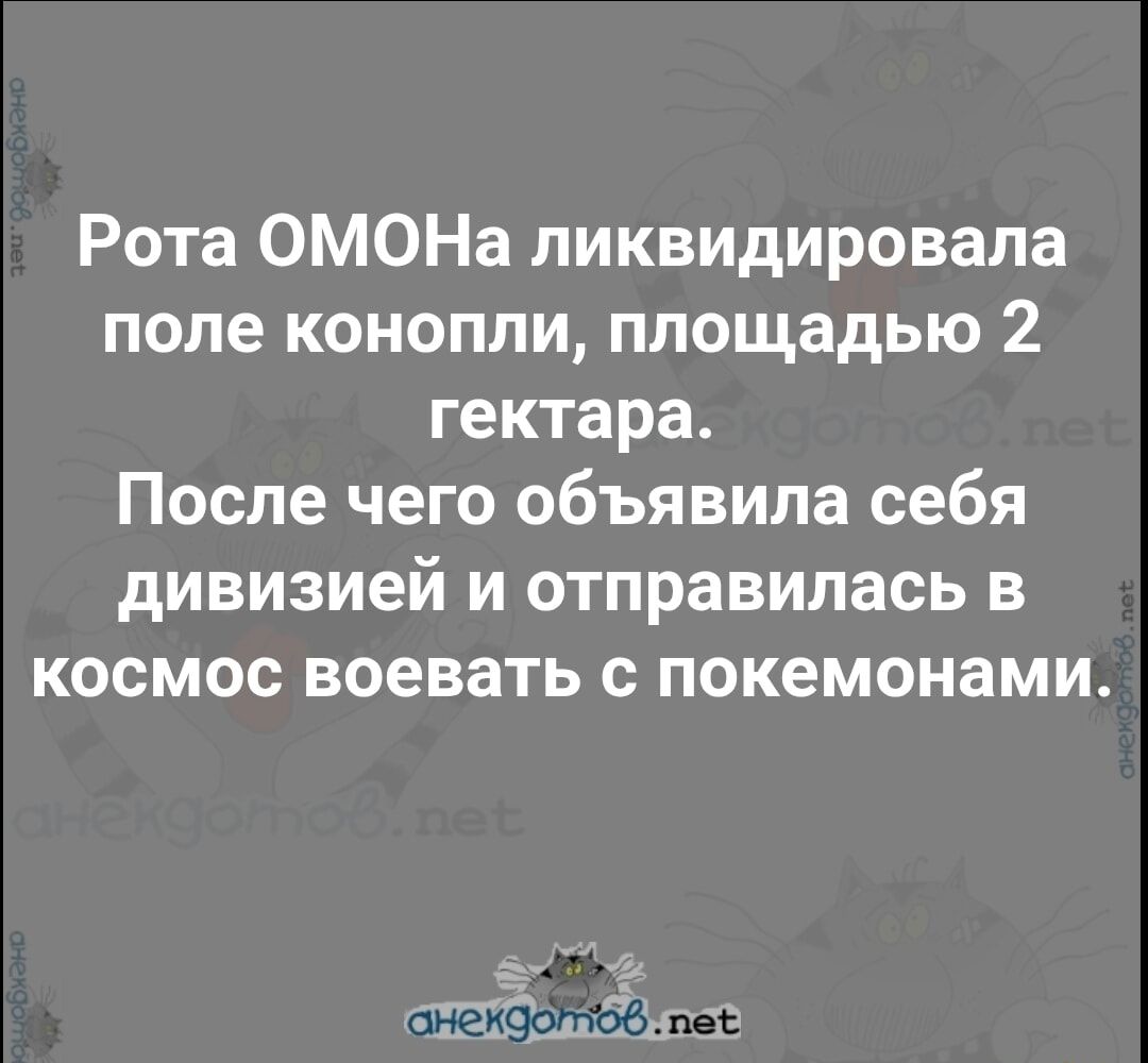 Рота ОМОНа ликвидировала поле конопли, площадью 2 гектара. После чего объявила себя дивизией и отправилась в космос воевать с покемонами.