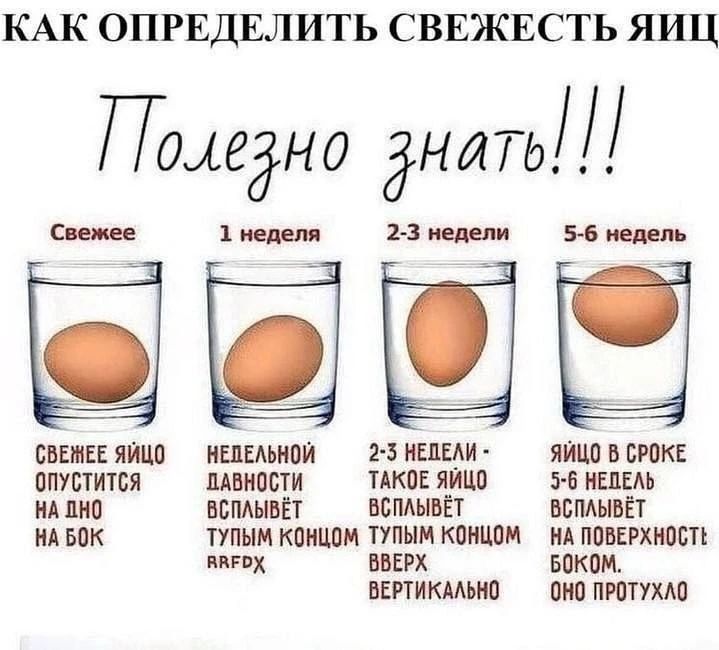КАК ОПРЕДЕЛИТЬ СВЕЖЕСТЬ ЯИЦ Полезно знать!!! Свежее 1 неделя 2-3 недели 5-6 недель СВЕЖЕЕ ЯЙЦО ОПУСТИТСЯ НА ДНО НА БОК НЕДЕЛЬНОЙ ДАВНОСТИ ВСПЛЫВЁТ ТУПЫМ КОНЦОМ ВВЕРХ 2-3 НЕДЕЛИ - ТАКОЕ ЯЙЦО ВСПЛЫВЁТ ТУПЫМ КОНЦОМ ВВЕРХ ВЕРТИКАЛЬНО ЯЙЦО В СРОКЕ 5-6 НЕДЕЛЬ ВСПЛЫВЁТ НА ПОВЕРХНОСТЬ БОКОМ. ОНО ПРОТУХЛО