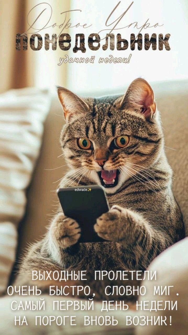 Доброе утро понедельник удачной недели! edwade,+ ВЫХОДНЫЕ ПРОЛЕТЕЛИ ОЧЕНЬ БЫСТРО, СЛОВНО МИГ. САМЫЙ ПЕРВЫЙ ДЕНЬ НЕДЕЛИ НА ПОРОГЕ ВНОВЬ ВОЗНИК!