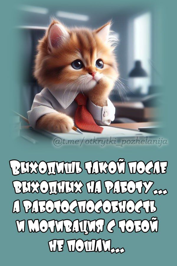 ВЫХОДИШЬ ТАКОЙ ПОСЛЕ ВЫХОДНЫХ НА РАБОТУ... А РАБОТОСПОСОБНОСТЬ И МОТИВАЦИЯ С ТОБОЙ НЕ ПОШЛИ...