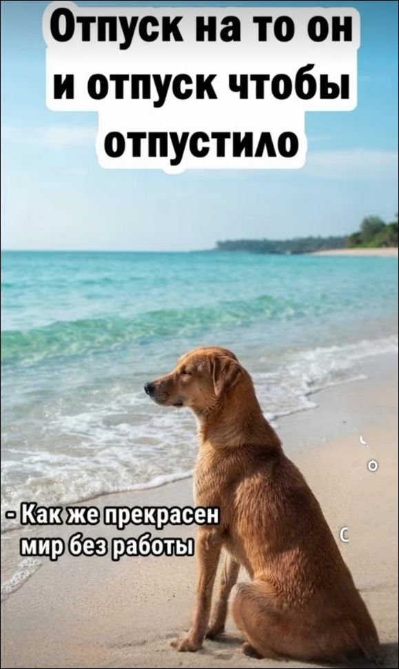 Отпуск на то он и отпуск чтобы отпустило. - Как же прекрасен мир без работы