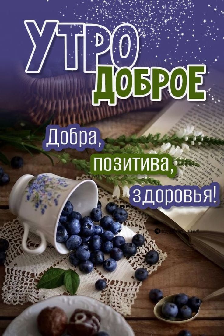 УТРО ДОБРОЕ Добра, позитива, здоровья! @dobroe_utrom