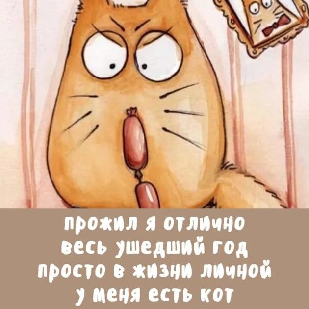прожил я отлично весь ушедший год просто в жизни личной у меня есть кот