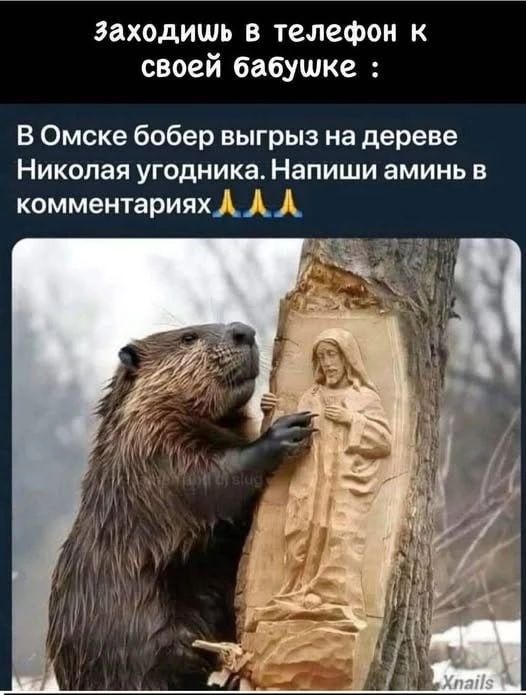 заходишь в телефон к своей бабушке : В Омске бобер выгрыз на дереве Николая угодника. Напиши аминь в комментариях 🙏🙏🙏