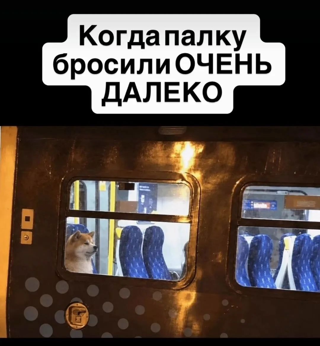 Когда палку бросили ОЧЕНЬ ДАЛЕКО