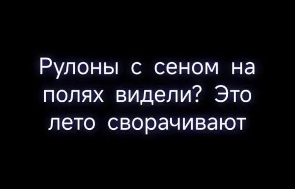 Рулоны с сеном на полях видели? Это лето сворачивают