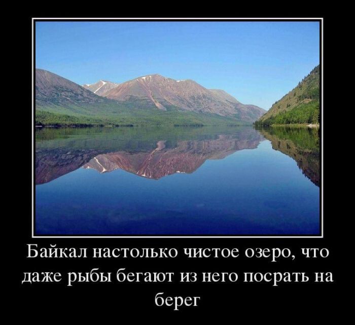 Байкал настолько чистое озеро, что даже рыбы бегают из него посрать на берег