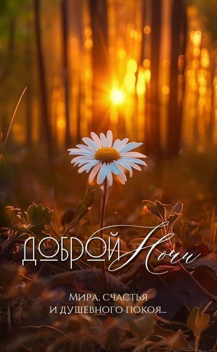 Доброй Ночи Мира, счастья и душевного покоя...