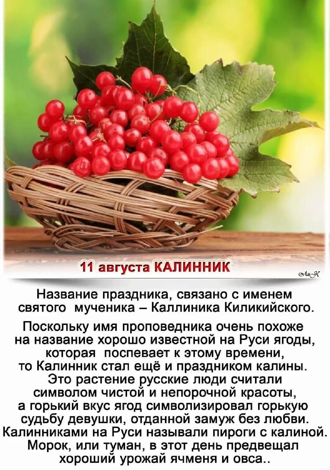 11 августа КАЛИННИК. Название праздника, связано с именем святого мученика – Каллиника Киликийского. Поскольку имя проповедника очень похоже на название хорошо известной на Руси ягоды, которая поспевает к этому времени, то Калинник стал ещё и праздником калины. Это растение русские люди считали символом чистой и непорочной красоты, а горький вкус