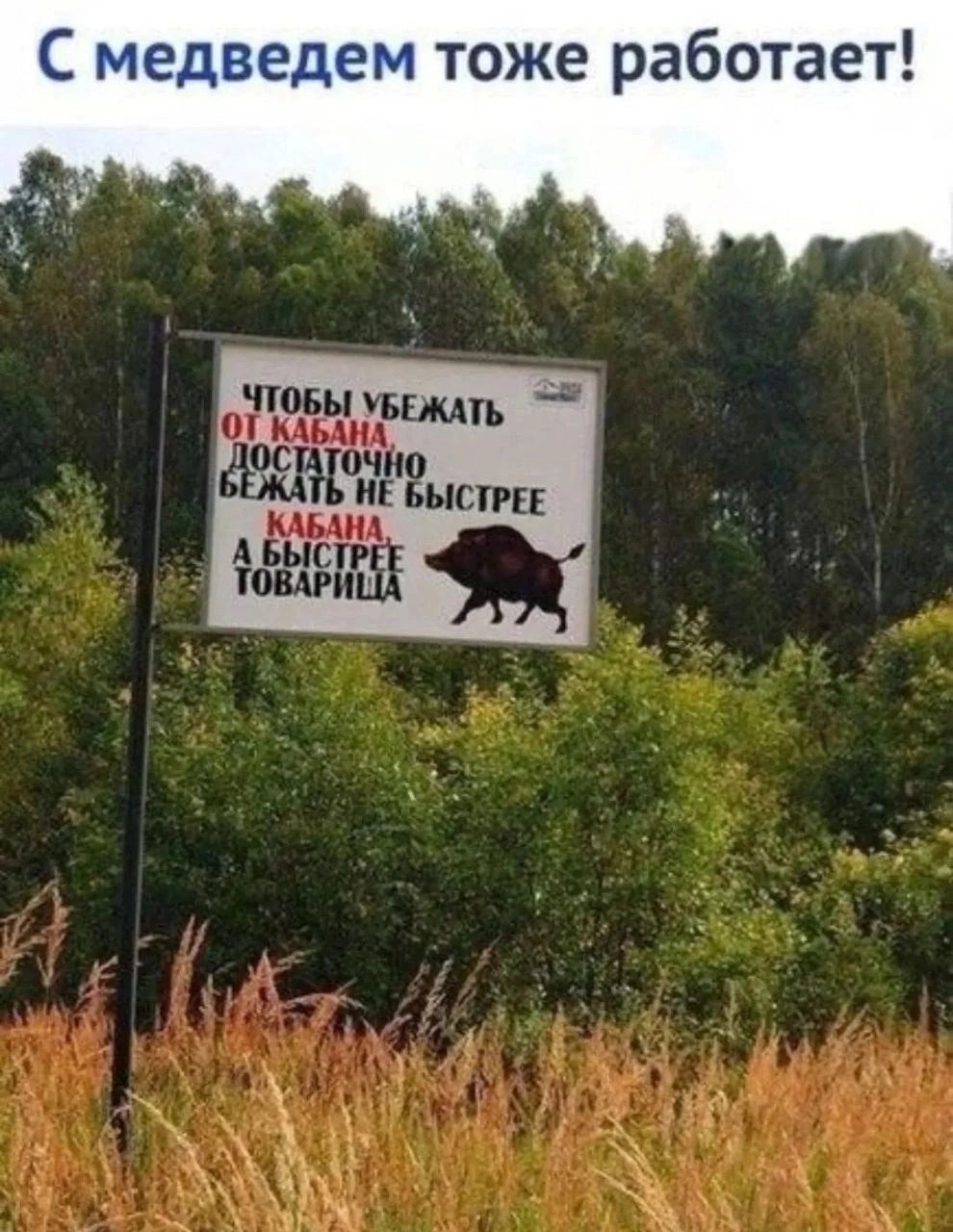 С медведем тоже работает! ЧТОБЫ УБЕЖАТЬ ОТ КАБАНА, ДОСТАТОЧНО БЕЖАТЬ НЕ БЫСТРЕЕ КАБАНА, А БЫСТРЕЕ ТОВАРИЩА