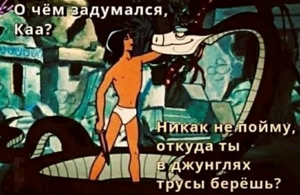 О чём задумался, Каа? Никак не пойму, откуда ты в джунглях трусы берёшь?