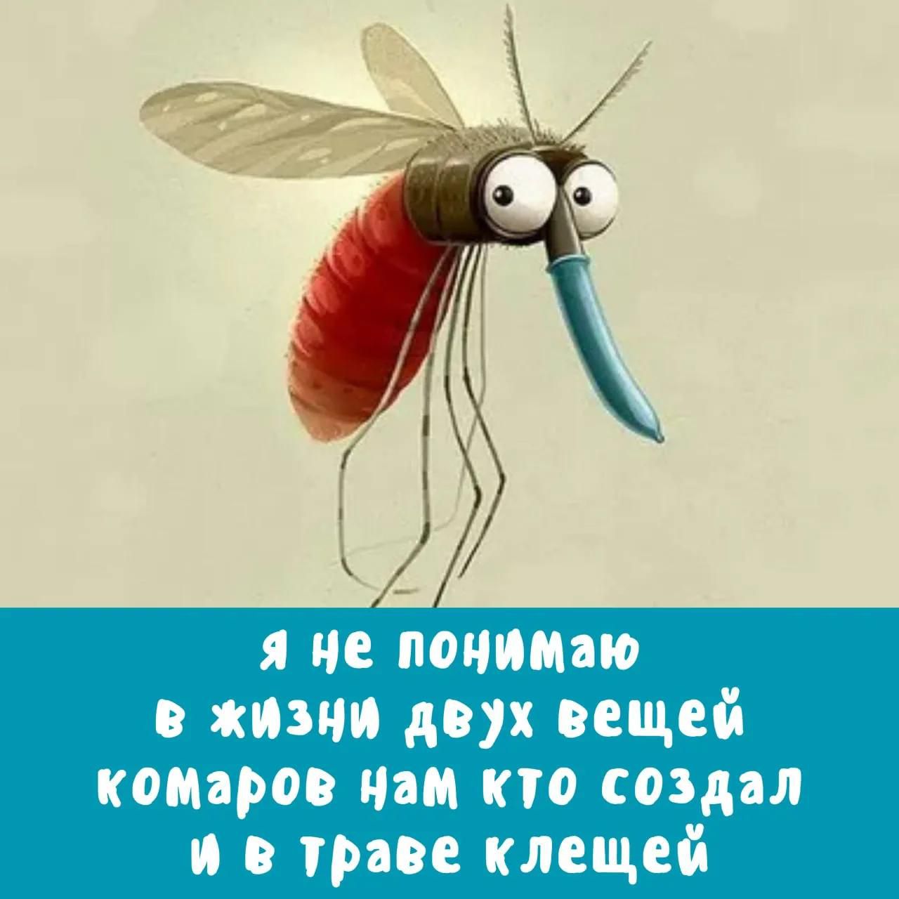 Я не понимаю в жизни двух вещей комаров нам кто создал и в траве клещей