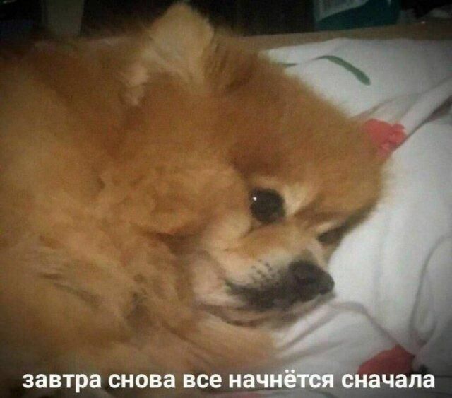 завтра снова все начнется сначала