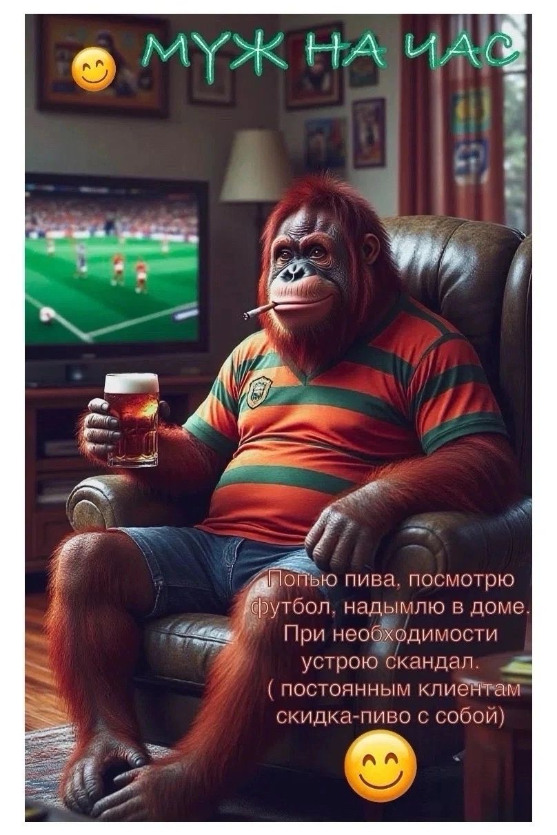 Муж на час. Попью пива, посмотрю футбол, надымлю в доме. При необходимости устрою скандал. (постоянным клиентам скидка-пиво с собой)