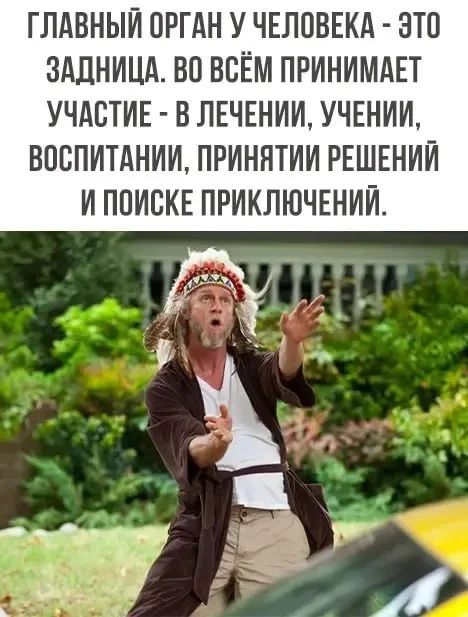 ГЛАВНЫЙ ОРГАН У ЧЕЛОВЕКА - ЭТО ЗАДНИЦА. ВО ВСЁМ ПРИНИМАЕТ УЧАСТИЕ - В ЛЕЧЕНИИ, УЧЕНИИ, ВОСПИТАНИИ, ПРИНЯТИИ РЕШЕНИЙ И ПОИСКЕ ПРИКЛЮЧЕНИЙ.