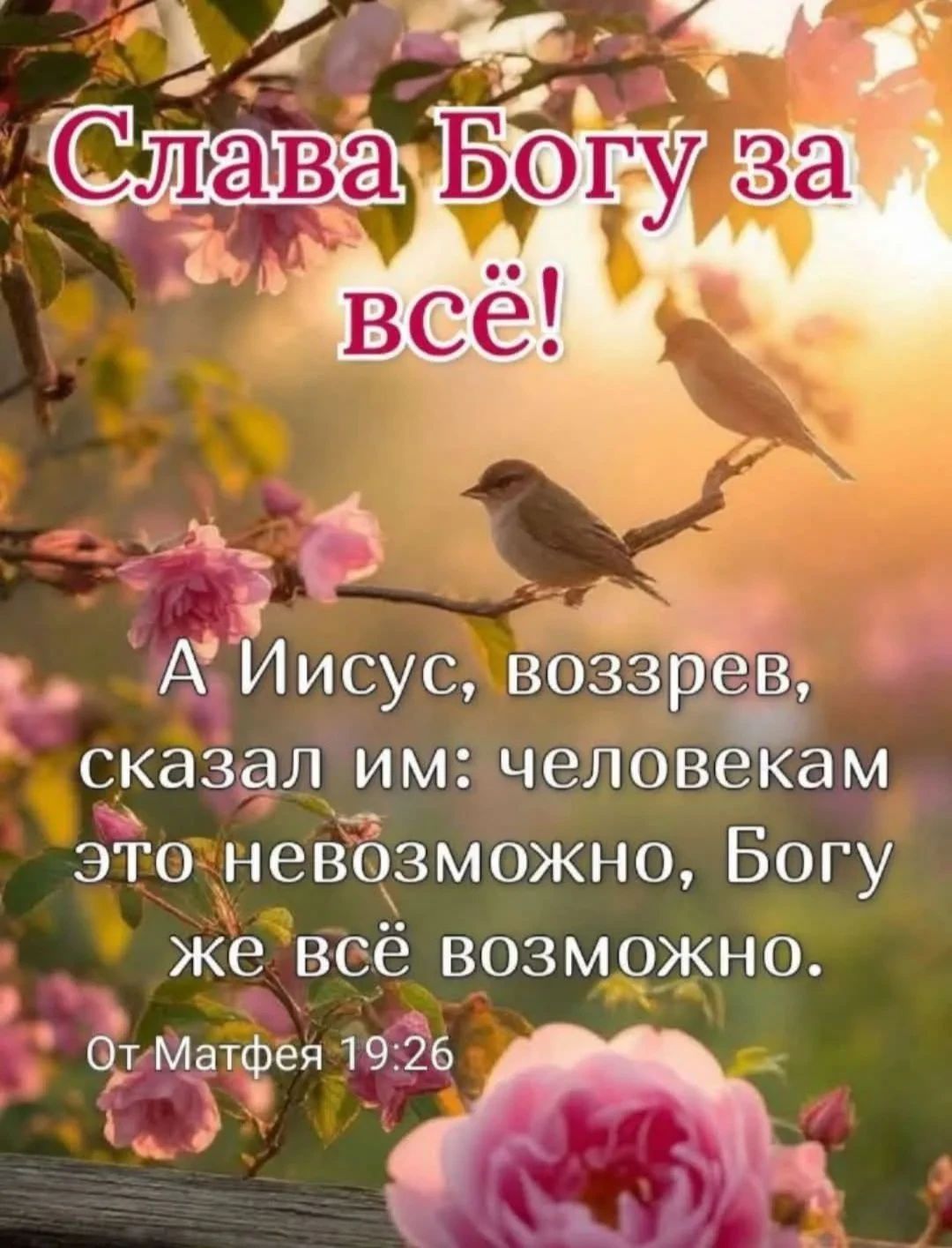 Слава Богу за всё! А Иисус, воззрев, сказал им: человекам это невозможно, Богу же всё возможно. От Матфея 19:26