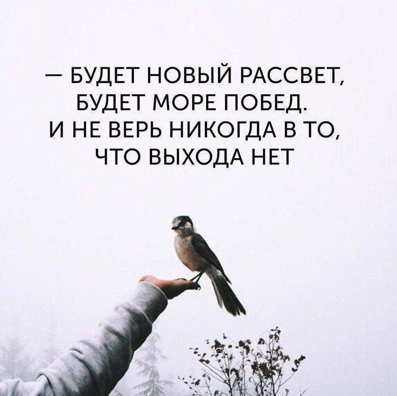 — БУДЕТ НОВЫЙ РАССВЕТ, БУДЕТ МОРЕ ПОБЕД. И НЕ ВЕРЬ НИКОГДА В ТО, ЧТО ВЫХОДА НЕТ