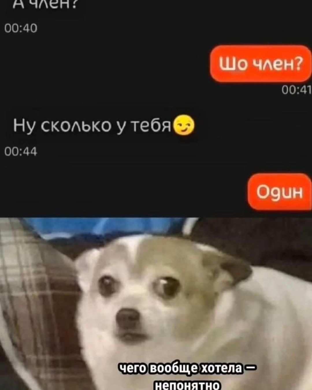 А член? Шо член? Ну сколько у тебя? Один. Чего вообще хотела — непонятно