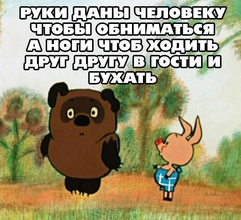 РУКИ ДАНЫ ЧЕЛОВЕКУ ЧТОБЫ ОБНИМАТЬСЯ А НОГИ ЧТОБ ХОДИТЬ ДРУГ ДРУГУ В ГОСТИ И БУХАТЬ