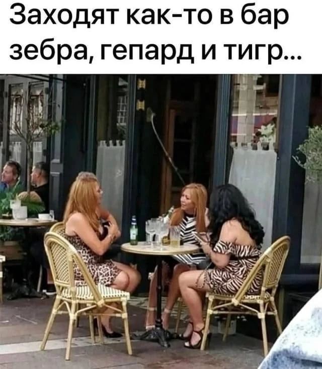 Заходят как-то в бар зебра, гепард и тигр...