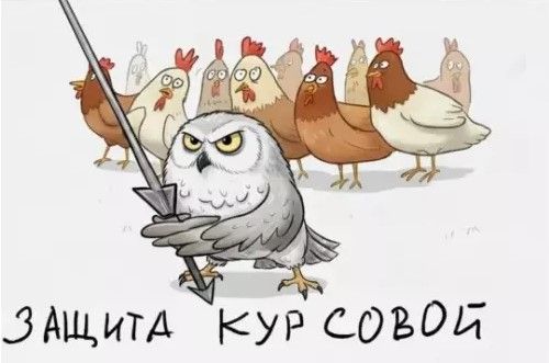 ЗАЩИТА КУР СОВОЙ