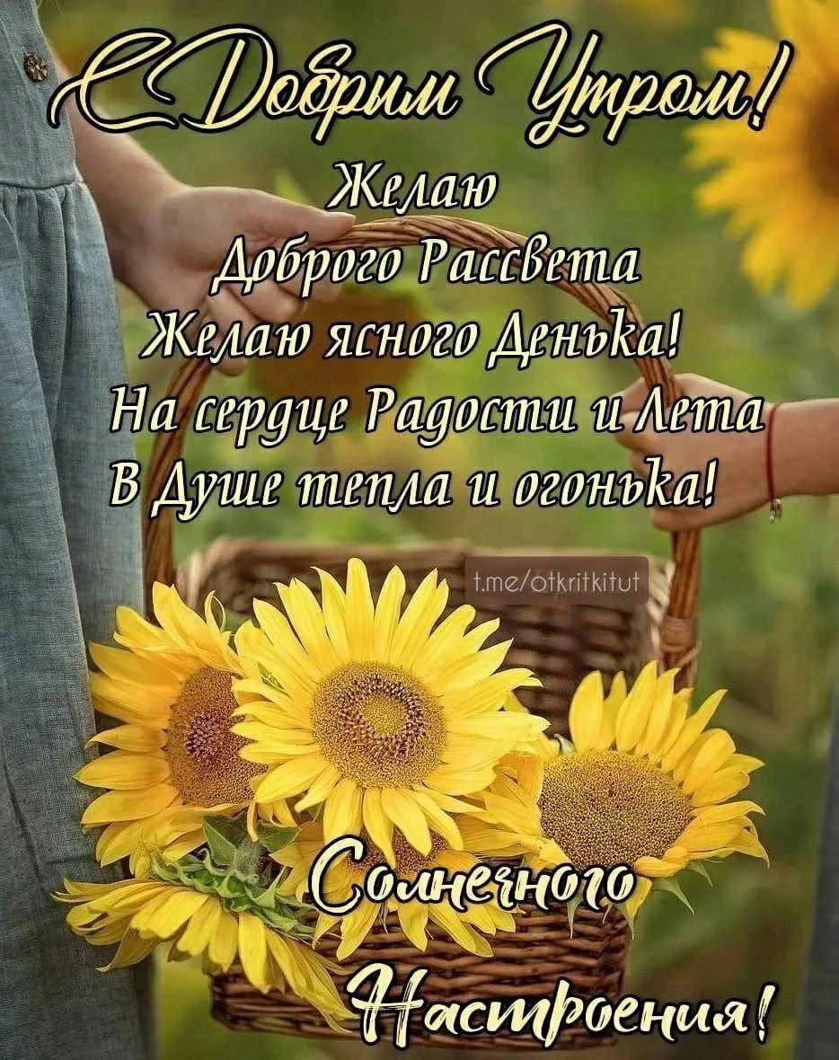 С Добрым Утром! Желаю Доброго Рассвета Желаю ясного Денька! На сердце Радости и Лета В Душе тепла и огонька! t.me/otkritkitut Солнечного Настроения!