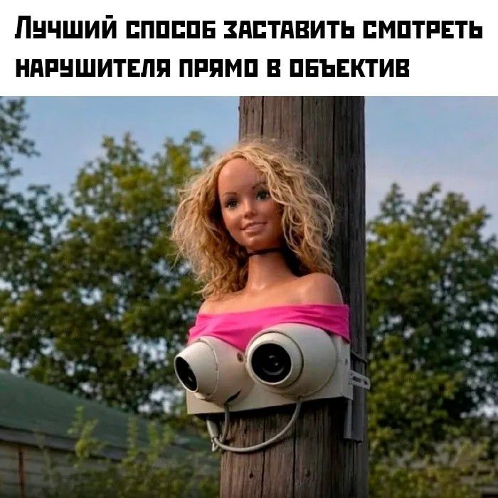 ЛУЧШИЙ СПОСОБ ЗАСТАВИТЬ СМОТРЕТЬ НАРУШИТЕЛЯ ПРЯМО В ОБЪЕКТИВ