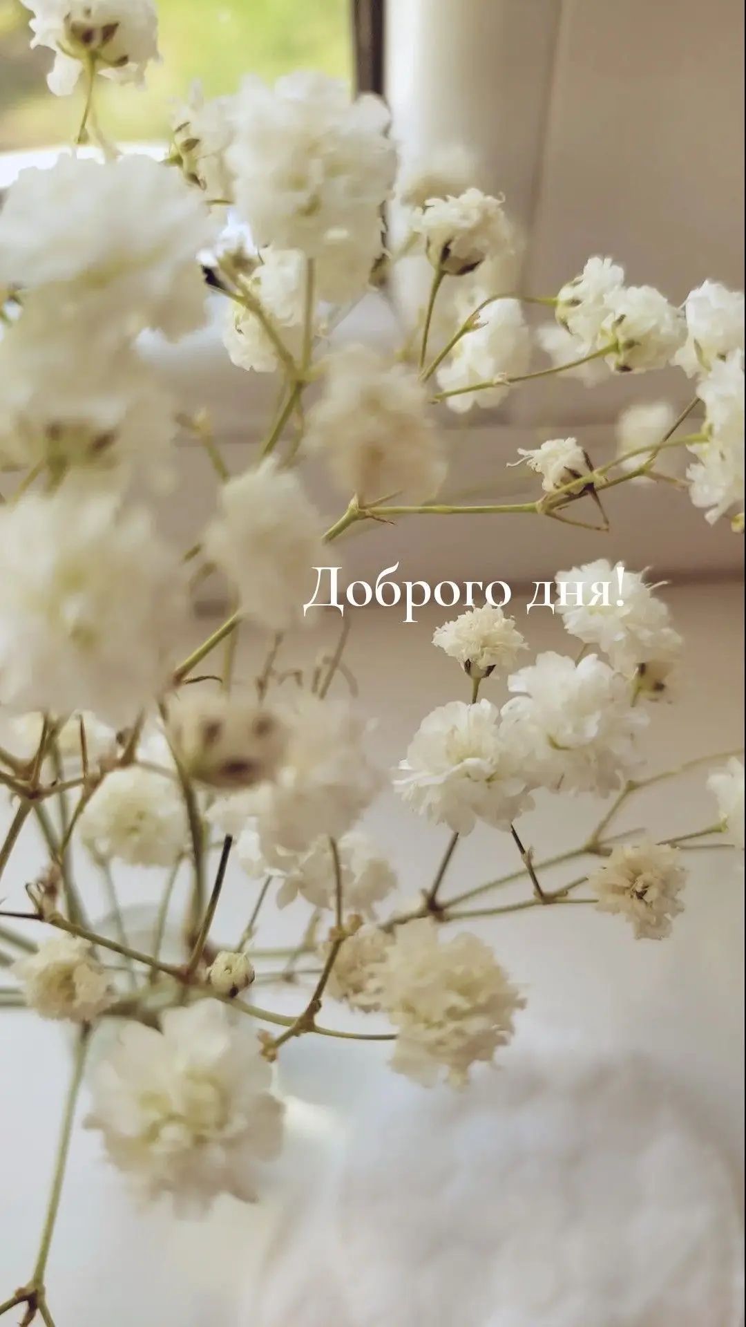 Доброго дня!