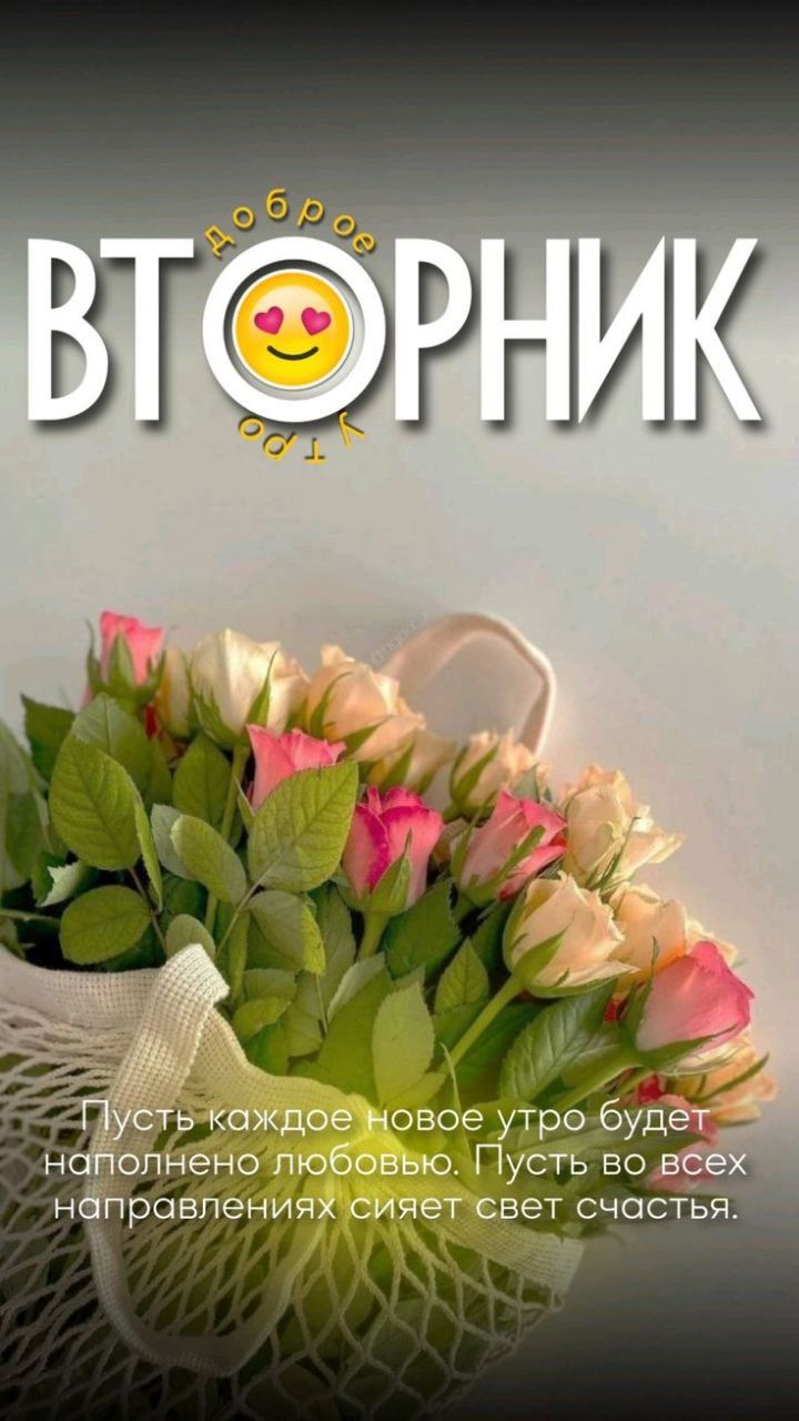 доброе ВТОРНИК утро Пусть каждое новое утро будет наполнено любовью. Пусть во всех направлениях сияет свет счастья.