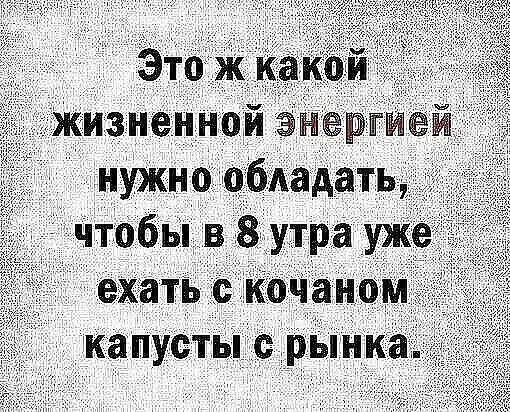 Это ж какой жизненной энергией нужно обладать, чтобы в 8 утра уже ехать с кочаном капусты с рынка.