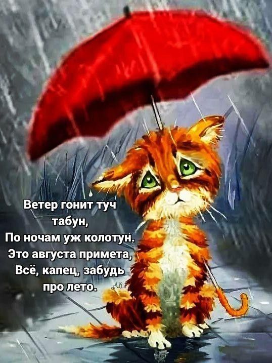 Ветер гонит туч табун, По ночам уж колотун. Это августа примета, Всё, капец, забудь про лето.