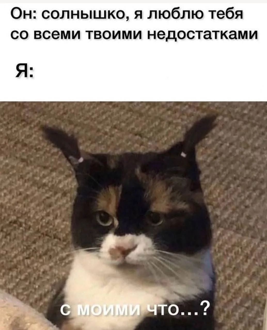 Он: солнышко, я люблю тебя со всеми твоими недостатками. Я: с моими что...?