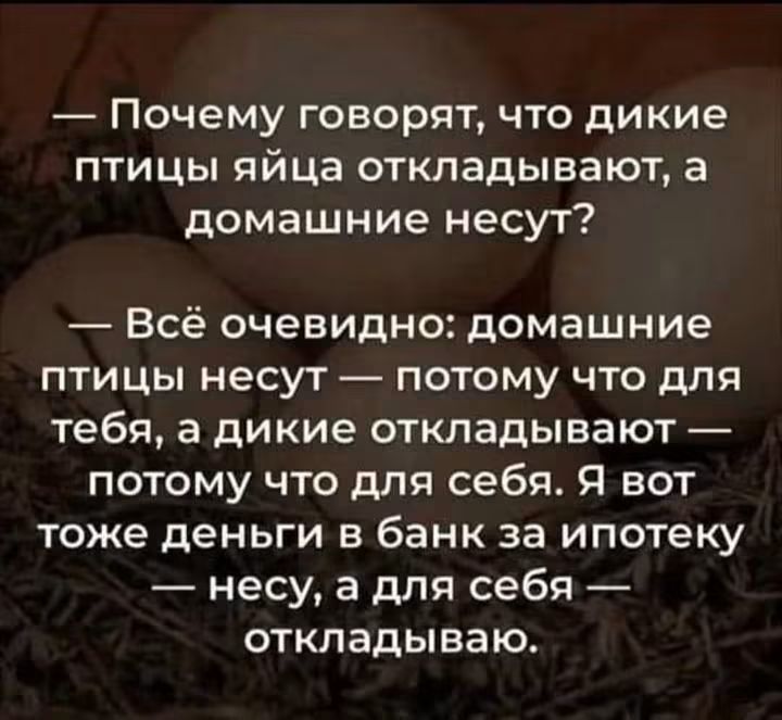 Почему говорят, что дикие птицы яйца откладывают, а домашние несут? Всё очевидно: домашние птицы несут — потому что для тебя, а дикие откладывают — потому что для себя. Я вот тоже деньги в банк за ипотеку — несу, а для себя — откладываю.